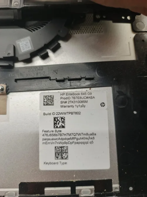 WhatsApp Image 2026-03-05 at 10.14.41 AM.webp