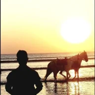 mehmood Ahmed