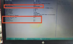 5555.webp