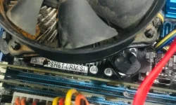 WhatsApp Image 2026-02-13 at 23.15.40.webp